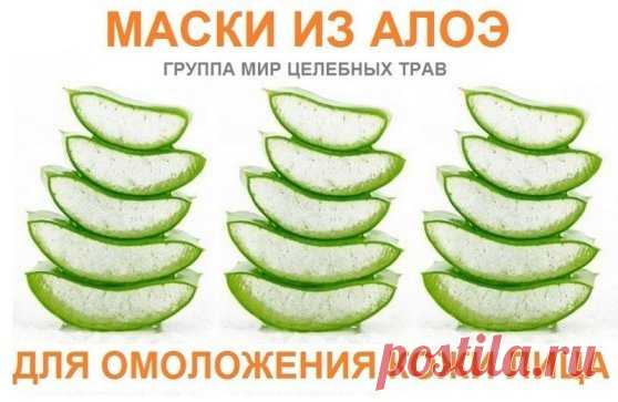 Маска из алоэ для омоложения кожи лица.