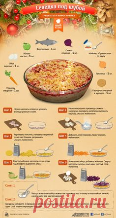 Рецепт селедки под шубой - Кухня - Аргументы и Факты