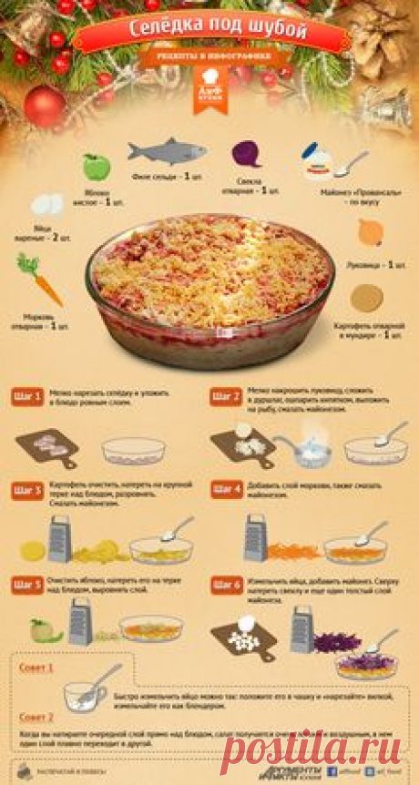 Рецепт селедки под шубой - Кухня - Аргументы и Факты