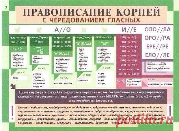 Освежаем в памяти грамматику русского языка - Женский журнал - медиаплатформа МирТесен