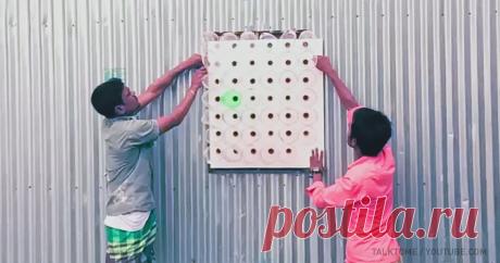 Как пластиковые бутылки заменили кондиционер тысячам жителей Бангладеш