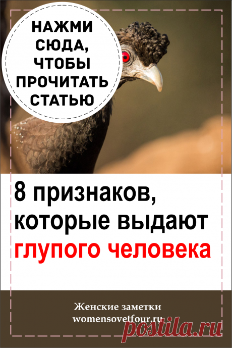 Глупышка
