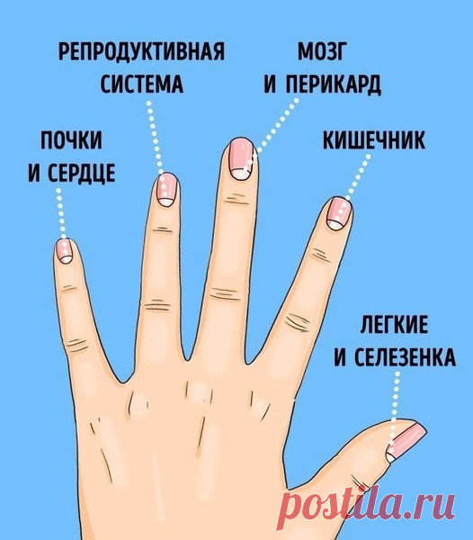 13 ПРОБЛЕМ СО ЗДОРОВЬЕМ, О КОТОРЫХ ПРЕДУПРЕЖДАЮТ ЛУНКИ НА НОГТЯХ – 