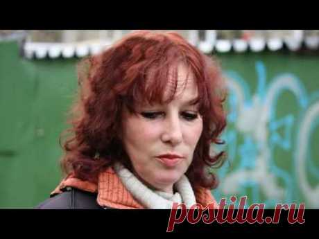 Светины собаки