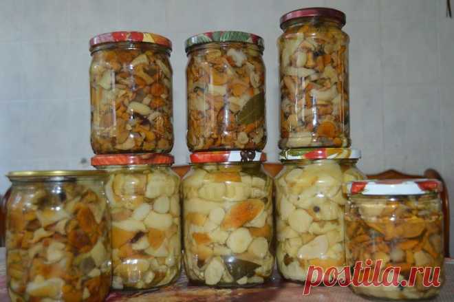 Очень вкусные маринованные опята