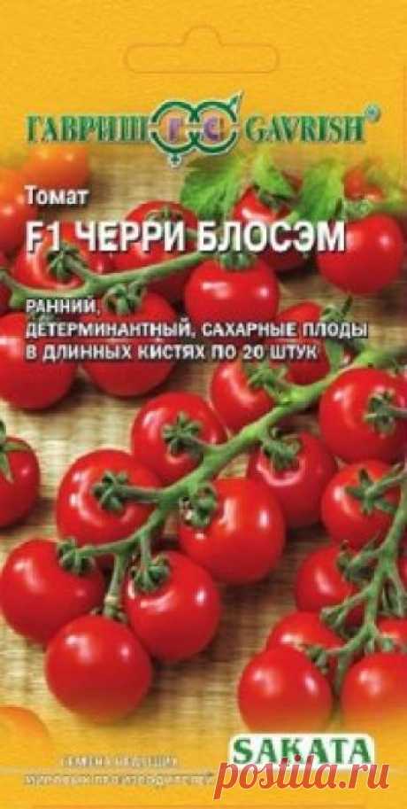 Семена. Томат "Чери Блосэм F1", 8 штук (Саката) Всхожесть: 90%.
Ранний (90-100 дней от всходов до сбора плодов) детерминантный (с ограниченным ростом) гибрид для выращивания в открытом грунте с подвязкой к кольям.