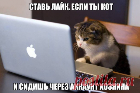 )))