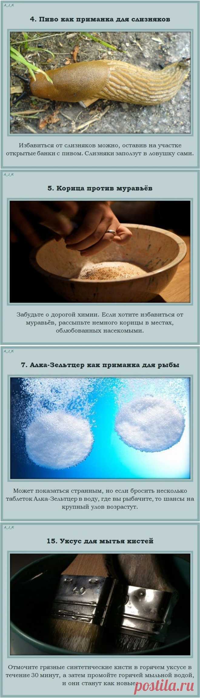 Полезные советы на каждый день