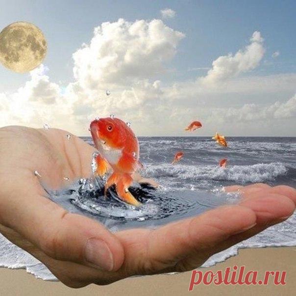 КАК ВЫ ГОВОРИТЕ, ТАК И ЖИВЁТЕ | 

В буддийской психологии говорится, что основным источником потери энергии является речь. В Ведах пустые разговоры называют «праджалпой». И именно она является одним из главных препятствий на пути духовного и материального прогресса. Первую оценку человеку мы даем по тому, как он говорит. Речь определяет человека.