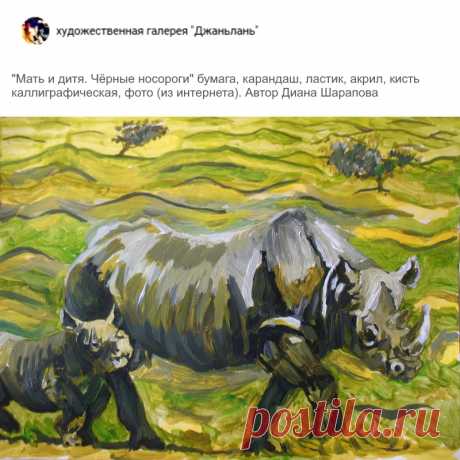 носороги