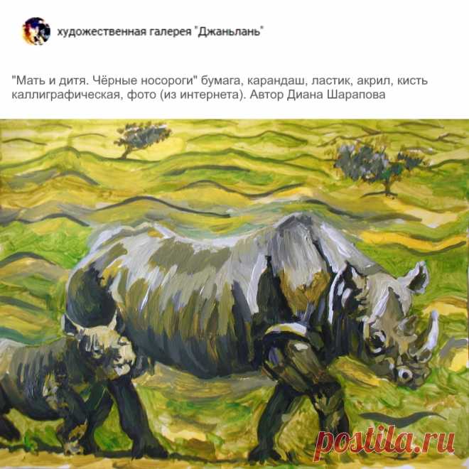 носороги