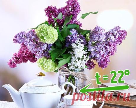 10 способов сохранить цветы в вазе свежими надолго | 6 соток