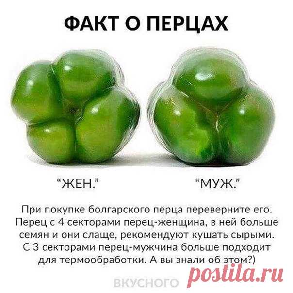 Лайфхаки и Лайфаки/Идеи для школы,дома и т.д.
