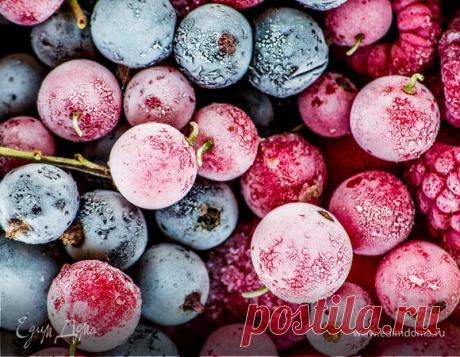 Как правильно замораживать ягоды