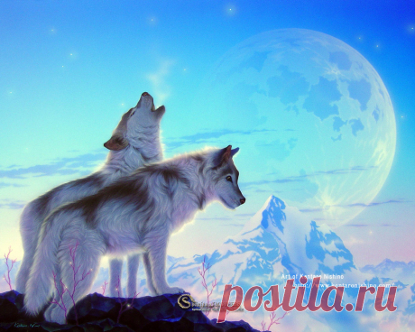 Восхитительные картины японского художника Kentaro Nishino