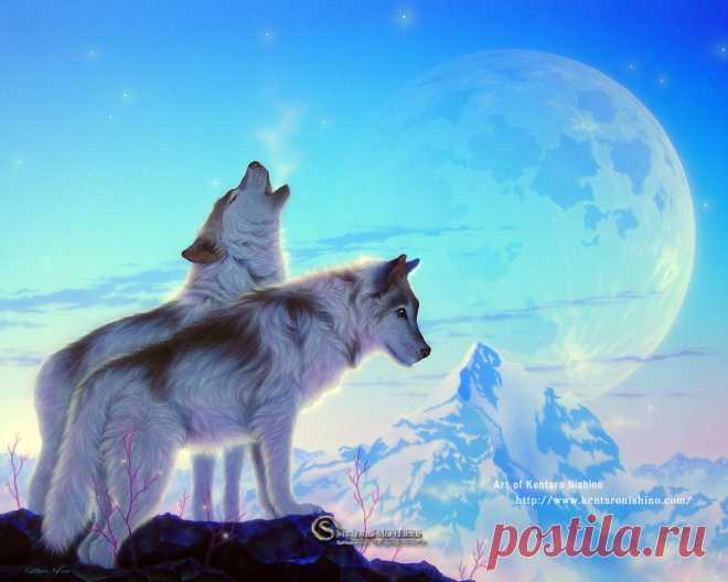 Восхитительные картины японского художника Kentaro Nishino