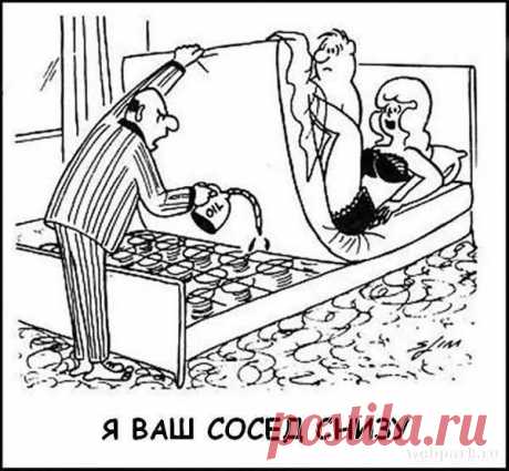 приколы про соседей сверху: 4 тыс изображений найдено в Яндекс.Картинках