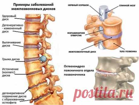 Хотите жить дольше? Чаще наклоняйтесь!