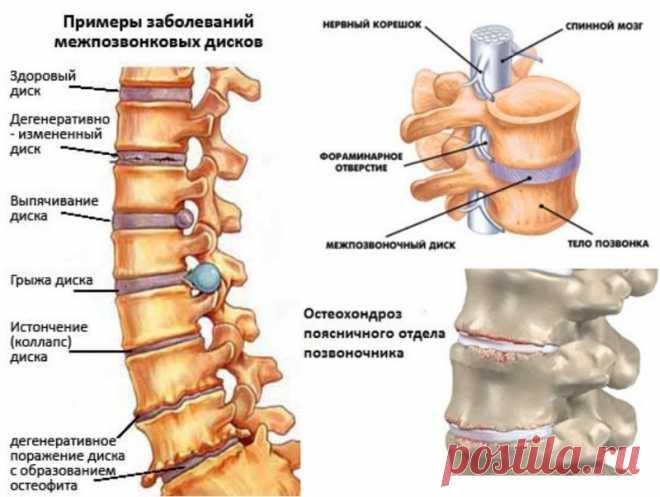 Хотите жить дольше? Чаще наклоняйтесь!