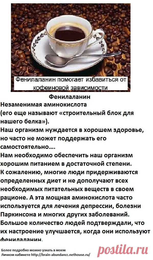 Основные ингредиенты Продукта Брейн Фул Плюс:
Фенилаланин
А эта мощная аминокислота часто используется для лечения депрессии, болезни Паркинсона и многих других заболеваний. Большое количество людей подтверждали, что их настроение улучшается, когда они используют Фенилаланин.