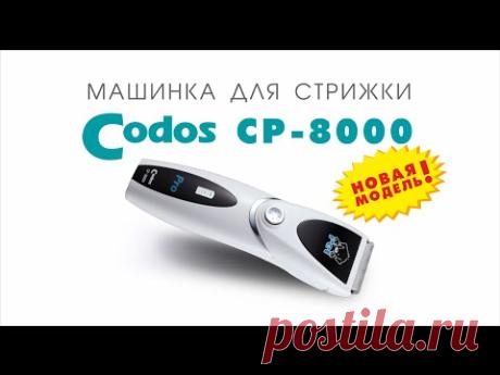 Собака-улыбака, ЗОО магазин хорошего настроения, товары для животных