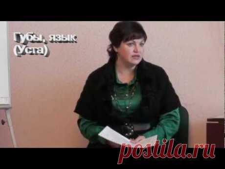БОЛЕЗНИ И ИХ ПРИЧИНЫ (3ч): горло, губы, язык, зубы.