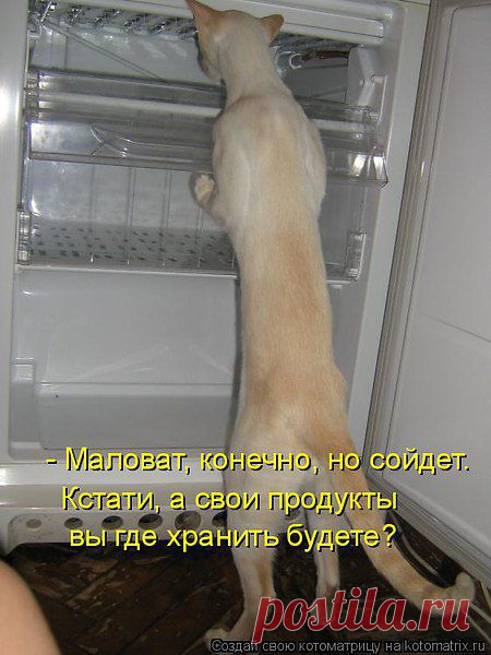 Интересные новости