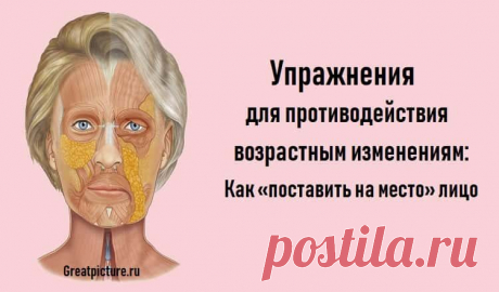 Упражнения для противодействия возрастным изменениям: Как «поставить на место» лицо 

 Упражнения для противодействия возрастным изменениям: Как «поставить на место» лицо.В медицинской науке физиологическую основу старения организма связывают с высыханием всего организма – тканей, ко…