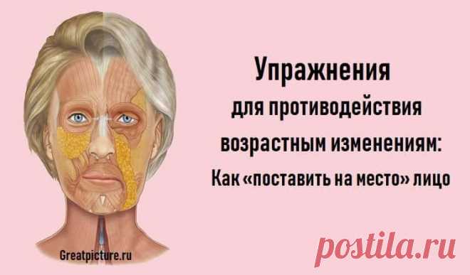 Упражнения для противодействия возрастным изменениям: Как «поставить на место» лицо 

 Упражнения для противодействия возрастным изменениям: Как «поставить на место» лицо.В медицинской науке физиологическую основу старения организма связывают с высыханием всего организма – тканей, ко…