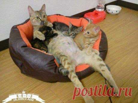 Прикольные и интересные фото 8