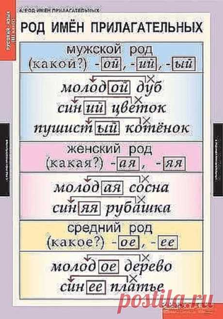 Пригодится*)))))


1. Сколько можно сомневаться "приДТи" или "приЙТи"? Запомните раз и навсегда, правильно - "приЙТи". 


2. Заказали "экспрессо"? Чтобы быстрее приготовили? Кофе называется "ЭСПРЕССО"! 


3. Как правильно: "ПОБЕДЮ" или "ПОБЕЖДУ"? Никак! У глагола "победить" нет формы 1-го лица ед. числа в будущем времени. "Одержу победу", "сумею победить" вполне себе заменяют эту форму. 


4. Повторяем! Не существует слов "вообщем" и "вобщем"! Есть слова "ВООБЩЕ" и "В ОБЩЕ...