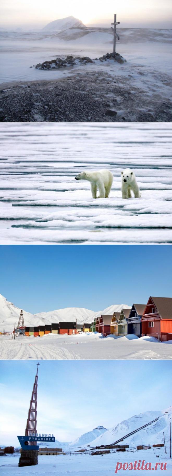 Здесь белых медведей больше, чем людей / Туристический спутник