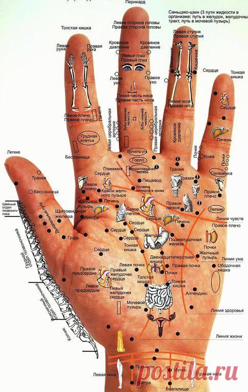 Здоровье по руке