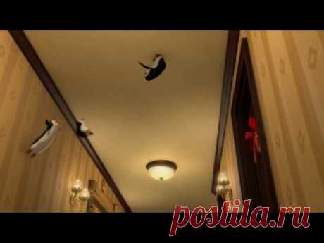 Подборка замечательных зимних мультфильмов для всей семьи. 
Добавляйте себе на стену и наслаждайтесь просмотром  

1. Пингвины из Мадагаскара: Рождество 
2. Нико: Путь к звездам 
Показать полностью…