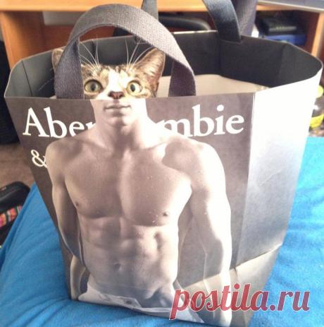 (+1) - Красивые и забавные фотографии | ТУРИЗМ И ОТДЫХ