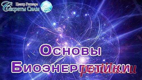 Основы биоэнергетики.
«Мы должны прийти к пониманию, что есть единственный источник знания, из которого можно брать нужную информацию, причем абсолютно бесплатно и в любом объеме. Главное и единственное условие – это развивать себя.» - Сергей Ратнер.
Так как же встать на этот путь развития? А если вы уже по нему идёте – как не свернуть и не поддаться разным соблазнам и сладким обещанием быстрых результатов? Об этом и многом другом Сергей расскажет на открытом вебинаре «Осн...