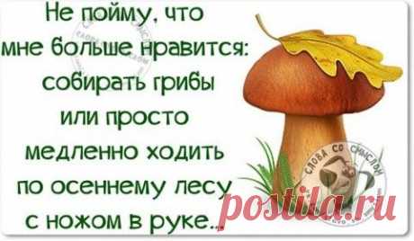 У меня такой недосып, что порой мне кажется, если я подскользнусь и упаду на улице, я не буду плакать или смеяться, я просто засну
