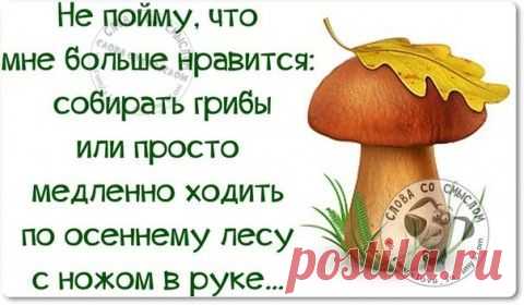 У меня такой недосып, что порой мне кажется, если я подскользнусь и упаду на улице, я не буду плакать или смеяться, я просто засну