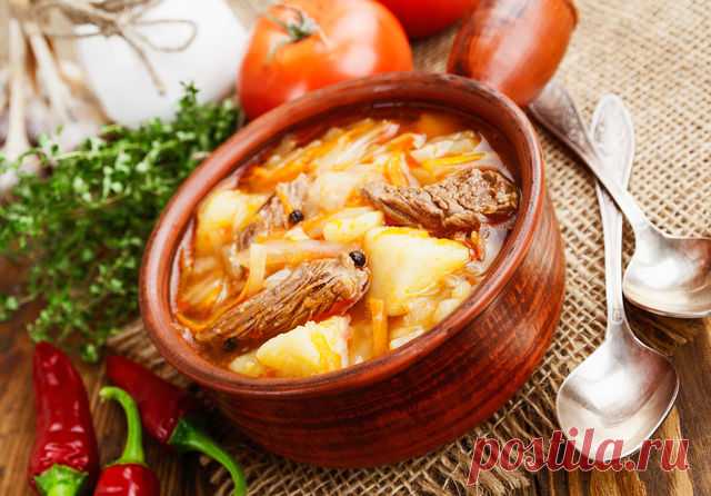 Как приготовить щи из капусты: классический рецепт
