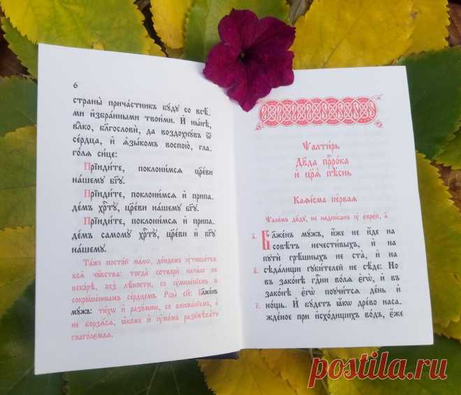 О Псалтири. Ответы на вопросы. Часть 2 | Православный ковчег | Яндекс Дзен