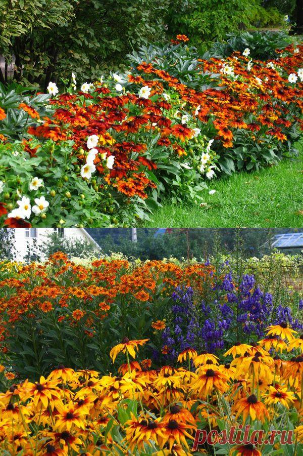 Цветоводам на заметку / посадочный материал / 7dach.ru