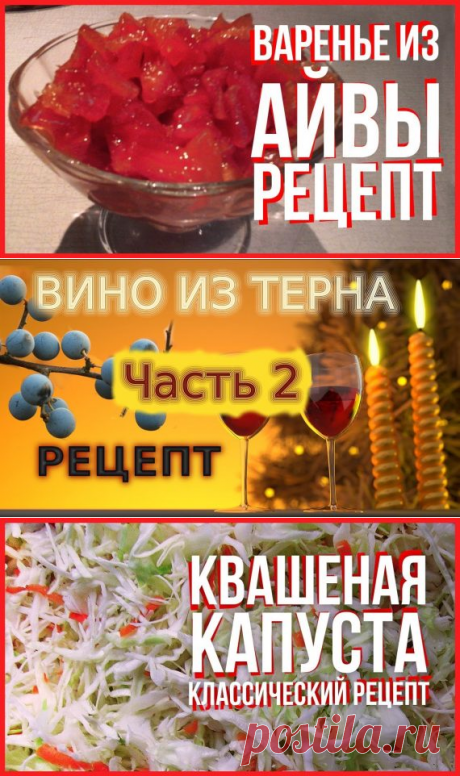 Лес Сад Огород — Страница 26