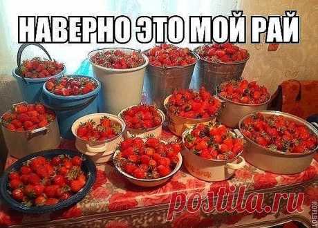 (43) Одноклассники