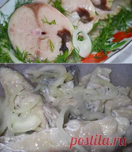 Маринованный толстолобик в домашних условиях