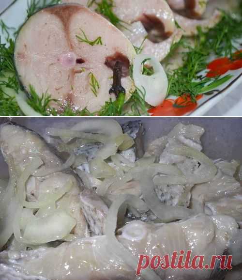 Маринованный толстолобик в домашних условиях