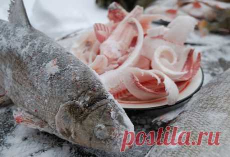 Дары  моря.