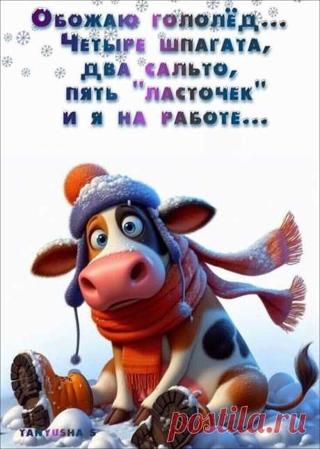 (17) Одноклассники
