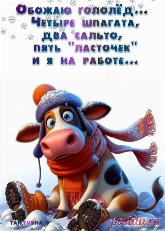 (17) Одноклассники