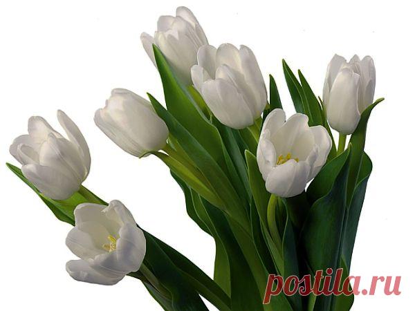 ЗАГОВОРЫ НАРОДНЫЕ ПРИМЕТЫ: ЭТО СТИХОТВОРЕНИЕ ВНЕСЕТ В ВАШ МИР УСПОКОЕНИЕ,ДАСТ ЗДОРОВЬЕ