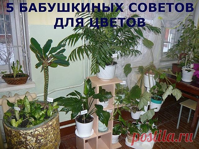 (39) Одноклассники